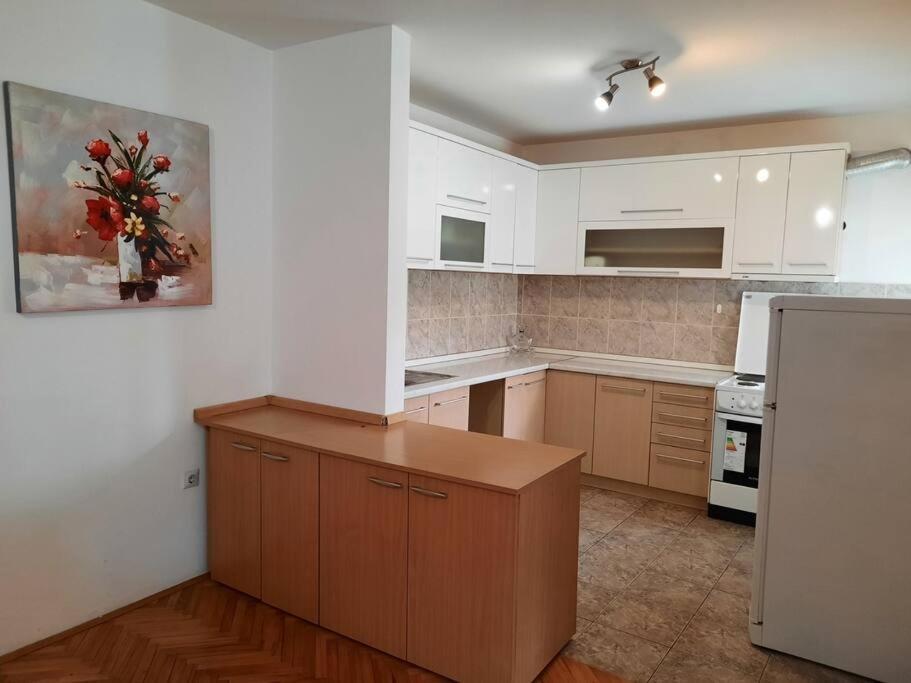 Apartman Lan - Free Parking Враня Екстериор снимка